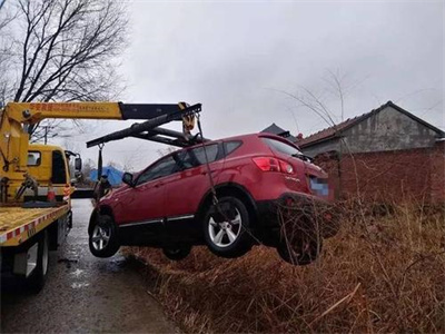 深州楚雄道路救援